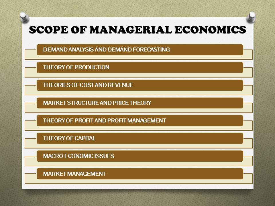 scope of managerial economics