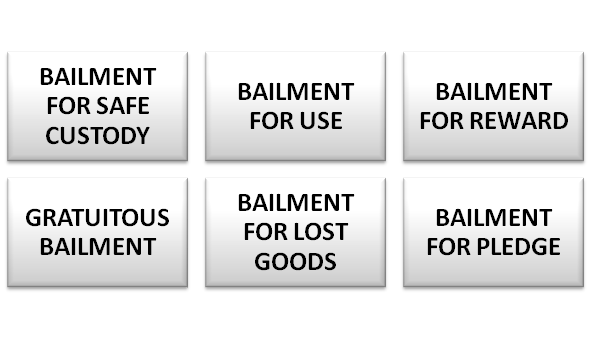 contract of bailment assignment