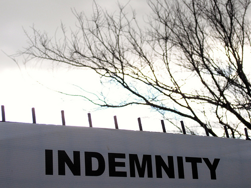 CONTRACT OF INDEMNITY