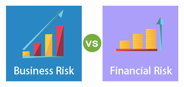 business risk and financial risk
