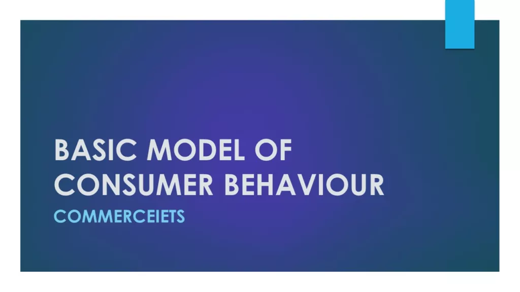 BASIC CONSUMER BEHAVIOUR MODEL