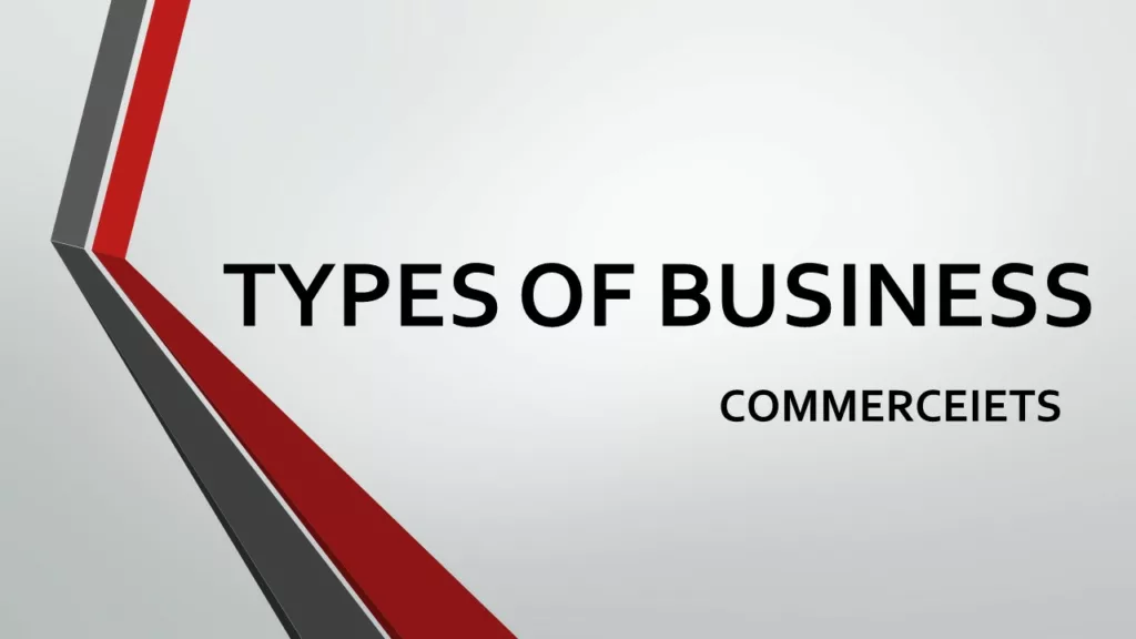 TYPES OF BUSINESS