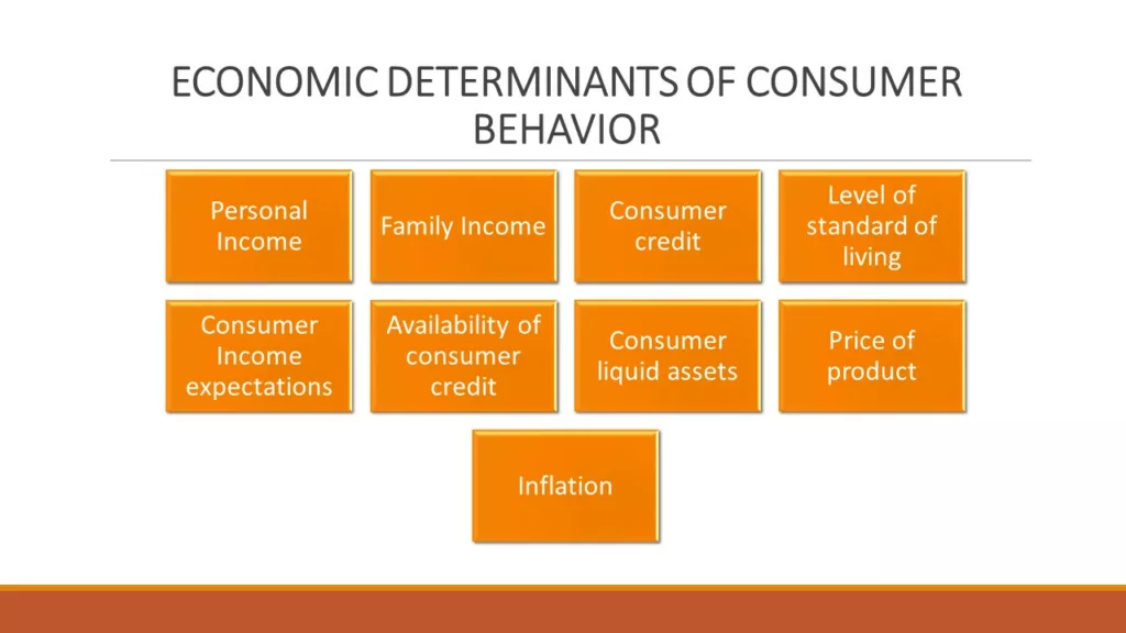 ECONOMIC DETERMINANTS OF CONSUMER BEHAVIOR