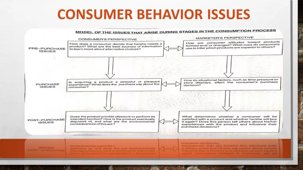 CONSUMER BEHAVIOR ISSUES