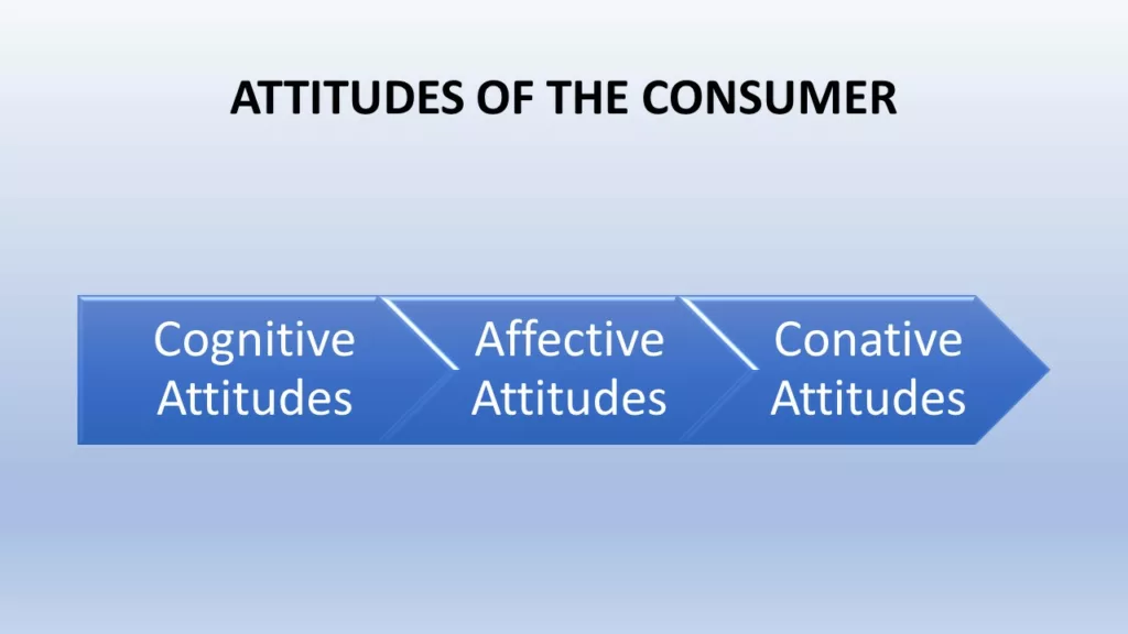 how attitudes affects consumer behaviour