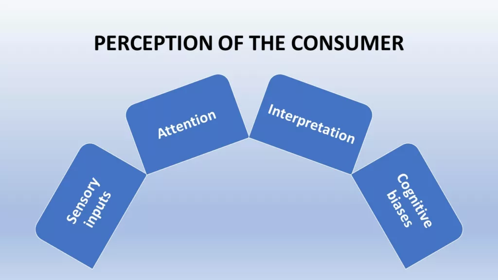 how perception affects consumer behaviour
