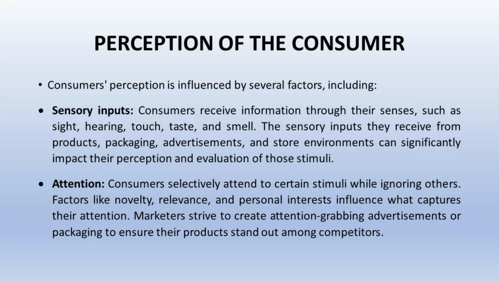 how perception affects consumer behaviour