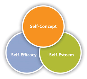 HOW SELF CONCEPT AFFECTS CONSUMER BEHAVIOR