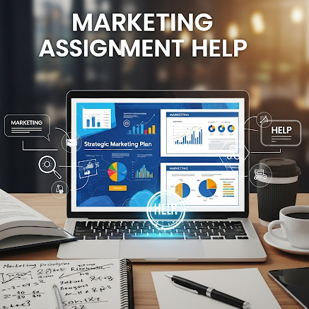 Expert Assignment Help 24*7