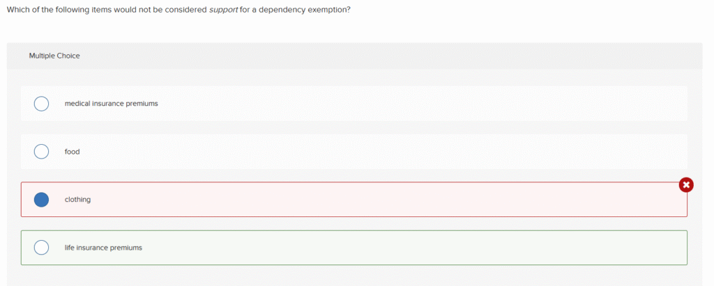 Which of the following Items would not be considered support for a dependency exemption?