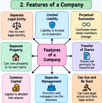 Features of company