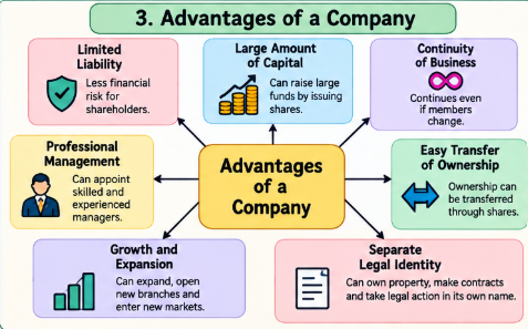 Advantages of Company